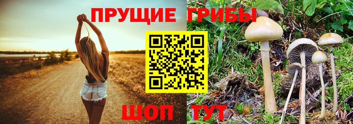 закладки  Галлюциногенные грибы мицелий  Вход с VPN  Таганрог 